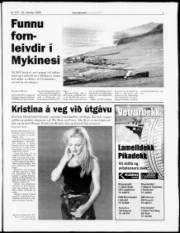 Síða 7