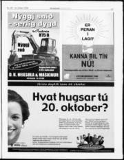 Síða 17