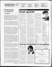 Síða 2