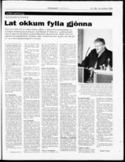 Síða 23