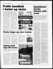 Síða 7