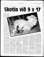 Síða 14