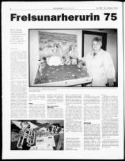 Síða 6