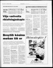 Síða 7