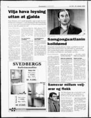 Síða 6