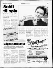 Síða 7