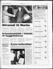 Síða 29