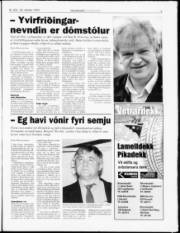 Síða 7
