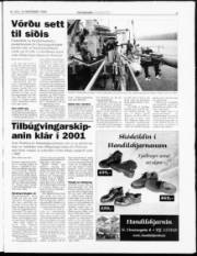 Síða 3