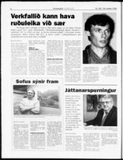 Síða 8