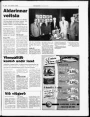 Síða 3