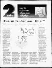 Síða 13