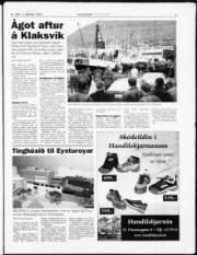 Síða 3