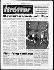 Síða 13