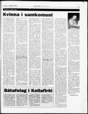 Síða 21