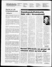 Síða 2