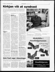 Síða 3