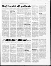 Síða 11