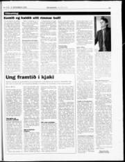 Síða 20