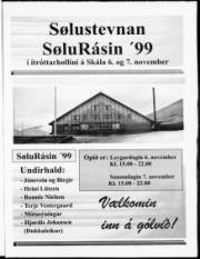 Síða 29
