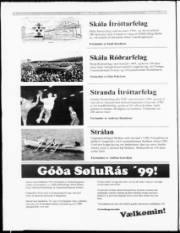Síða 30