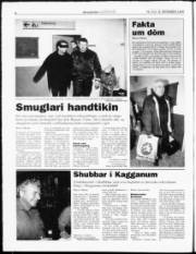 Síða 8