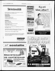 Síða 29
