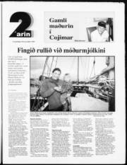 Síða 15