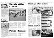 Síða 4