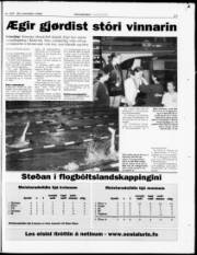 Síða 26