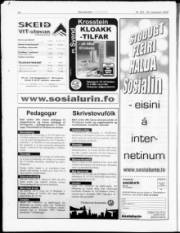 Síða 29
