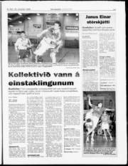 Síða 15