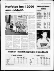 Síða 20
