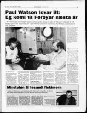 Síða 3