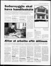 Síða 6