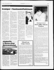 Síða 33