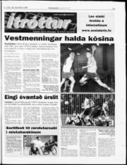 Síða 19