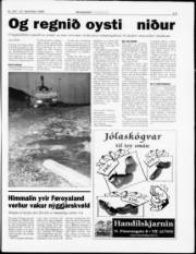 Síða 13