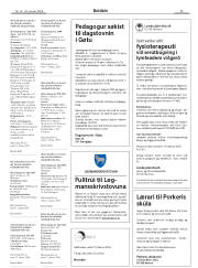Síða 29