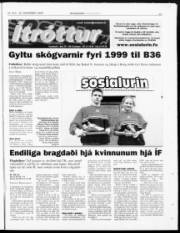 Síða 20