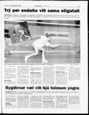 Síða 22