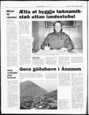 Síða 8