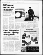 Síða 3