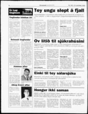 Síða 6