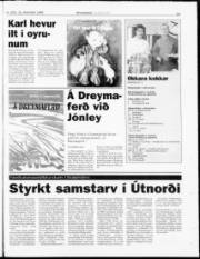 Síða 23