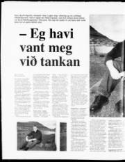 Síða 20