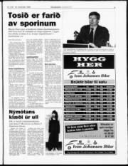 Síða 3