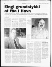Síða 6