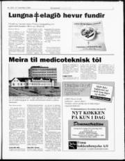 Síða 7
