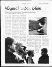 Síða 16